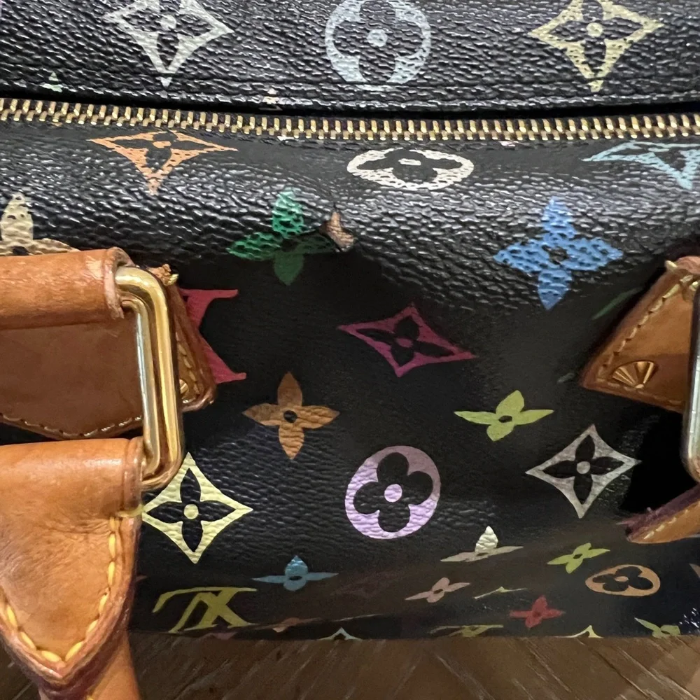 Louis Vuitton Multicolor Speedy Takashi Murakami - Picture 10 of 12